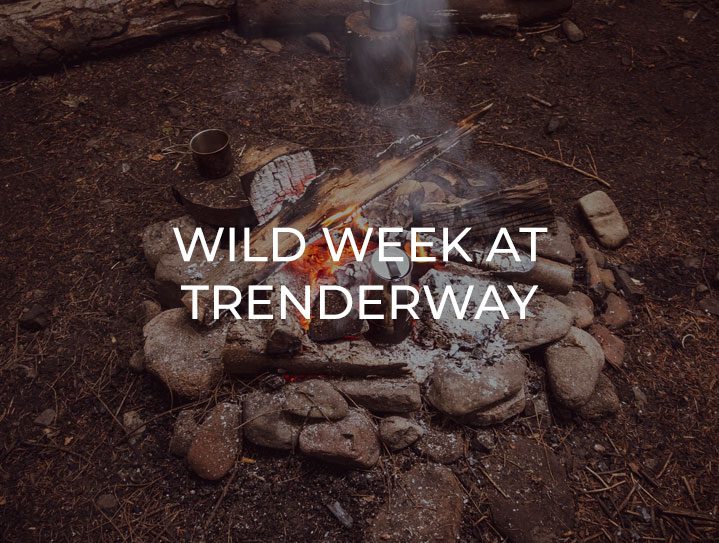Wild Week at Trenderway